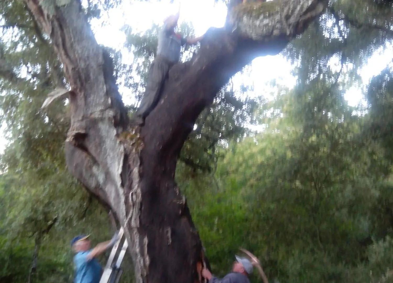 Finca El Gato Aracena 0*,  Spain