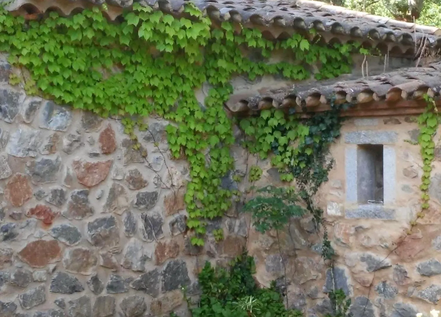 Finca El Gato Aracena Holiday home