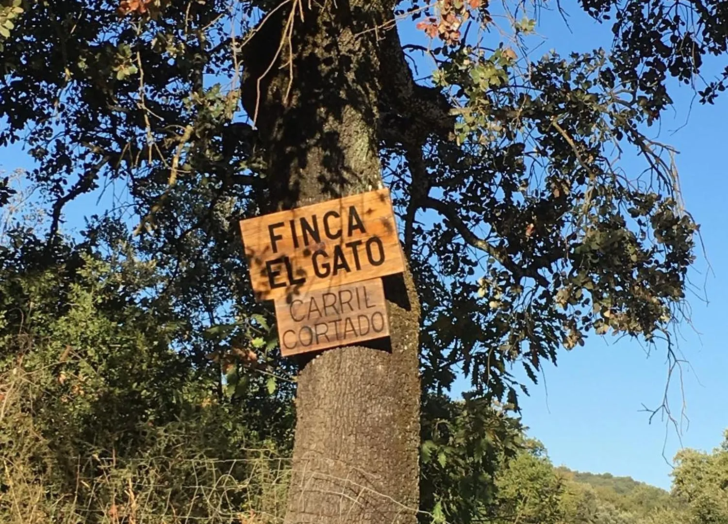 Finca El Gato Aracena Holiday home